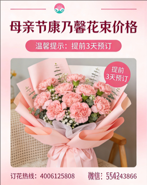 济南历城区花店母亲节康乃馨花束