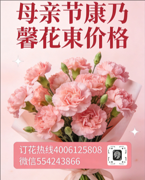 济南历城区花店母亲节康乃馨花束
